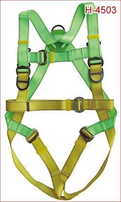 Dây đai toàn thân Adela H-4501